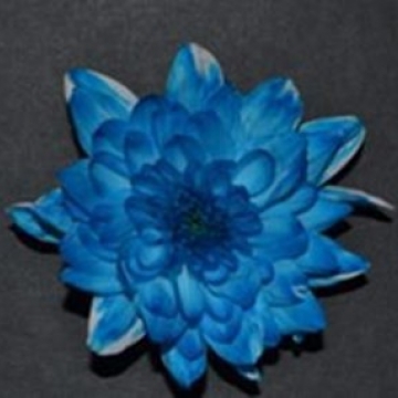 Краситель флористический 250 мл. синий